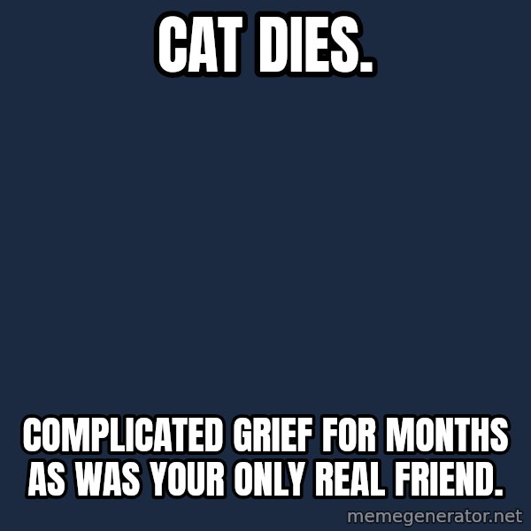 Chronic Illness Cat meme: Cat Dies. / Complicated Grief for months as was your only real friend.