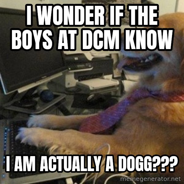 I have no idea what I'm doing - Dog with Tie meme: I WONDER IF THE BOYS AT DCM KNOW / I AM ACTUALLY A DOGG???