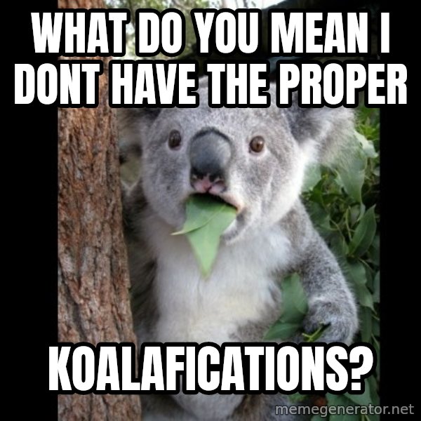 Koala can't believe it meme: what do you mean i dont have the proper / koalafications?