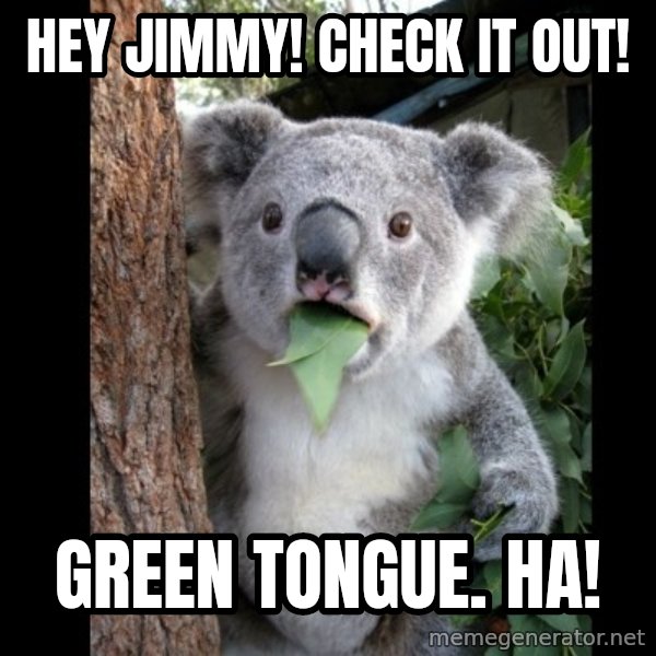 Koala can't believe it meme: Hey Jimmy!  Check it out! / Green tongue.  Ha!