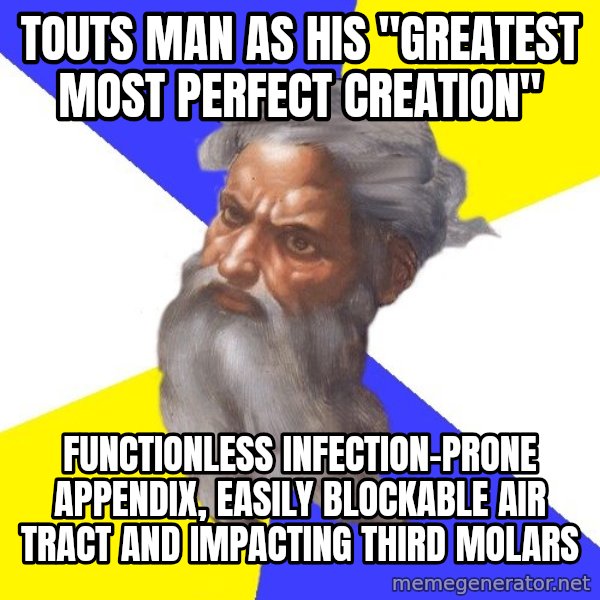 Advice God meme: TOUTS MAN AS HIS "GREATEST MOST PERFECT CREATION" / FUNCTIONLESS INFECTION-PRONE APPENDIX, EASILY BLOCKABLE AIR TRACT AND IMPACTING THIRD MOLARS