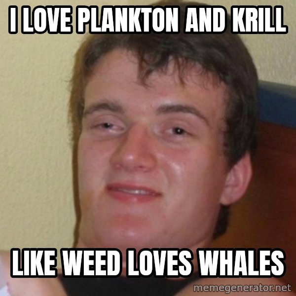 Really Stoned Guy meme: I LOVE PLANKTON AND KRILL / LIKE WEED LOVES WHALES
