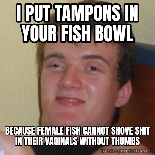 Really Stoned Guy meme: I PUT TAMPONS IN YOUR FISH BOWL / BECAUSE FEMALE FISH CANNOT SHOVE SHIT IN THEIR VAGINALS WITHOUT THUMBS