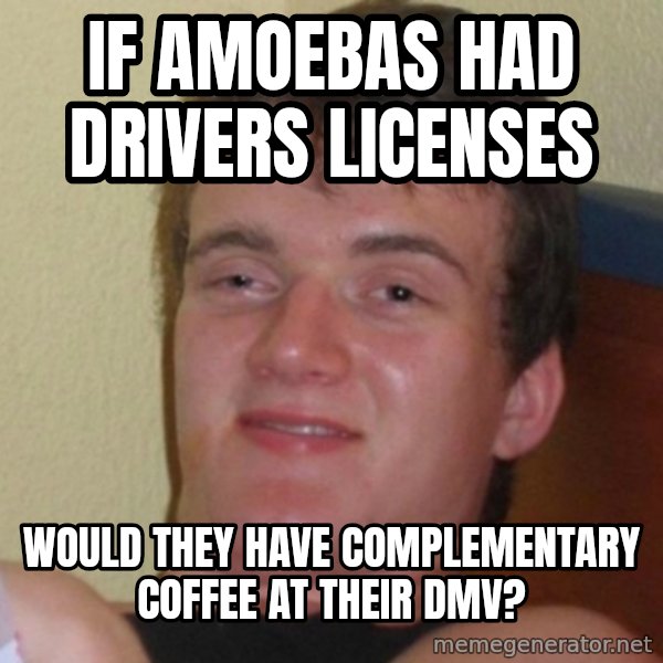 Really Stoned Guy meme: IF AMOEBAS HAD DRIVERS LICENSES / WOULD THEY HAVE COMPLEMENTARY COFFEE AT THEIR DMV?