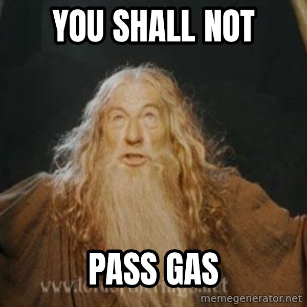 You shall not pass meme: you shall not / pass gas