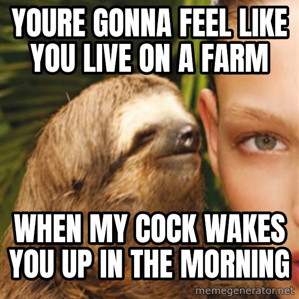 The Rape Sloth meme: Youre gonna feel like you live on a farm / when my cock wakes you up in the morning