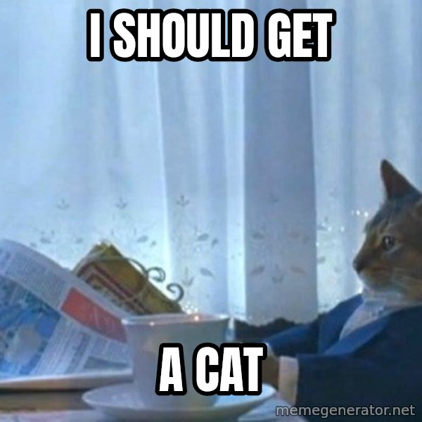 newspaper cat realization meme: I should get / a cat