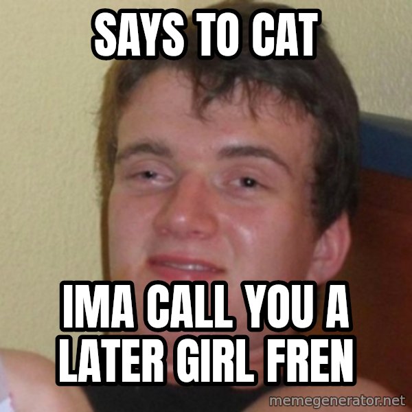 Really Stoned Guy meme: says to cat / Ima call you a later girl fren