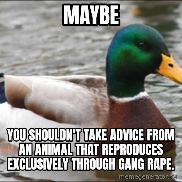 Actual Advice Mallard 1 meme: Maybe / You shouldn't take advice from an animal that reproduces exclusively through gang rape.
