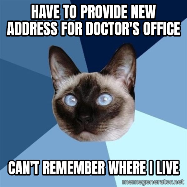 Chronic Illness Cat meme: Have to provide new address for doctor's office / can't remember where I live