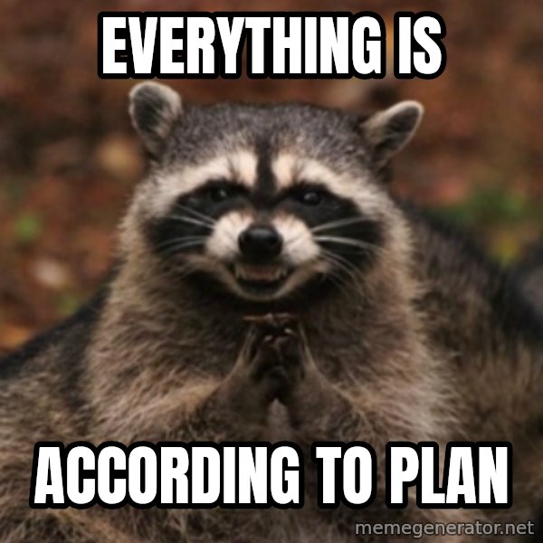 evil raccoon meme: EVERYTHING IS / ACCORDING TO PLAN