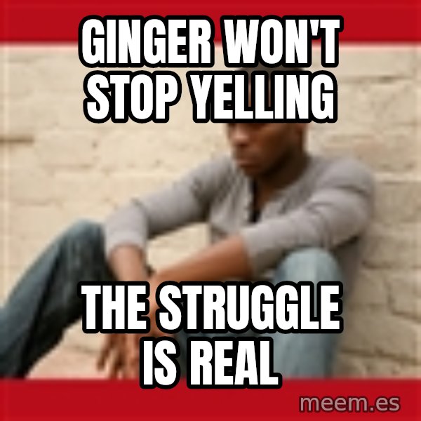 The Struggle Is Real meme: Ginger won't stop yelling / The Struggle is real