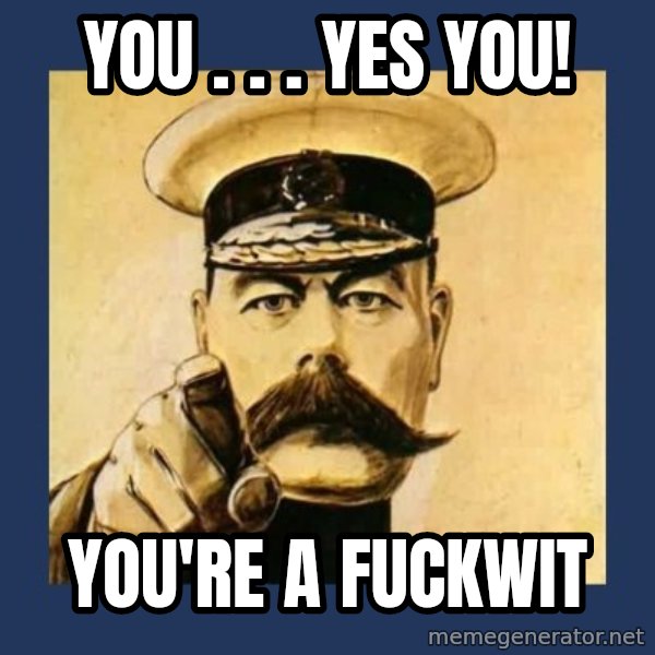 your country needs you meme: YOU . . . YES YOU! / YOU'RE A FUCKWIT