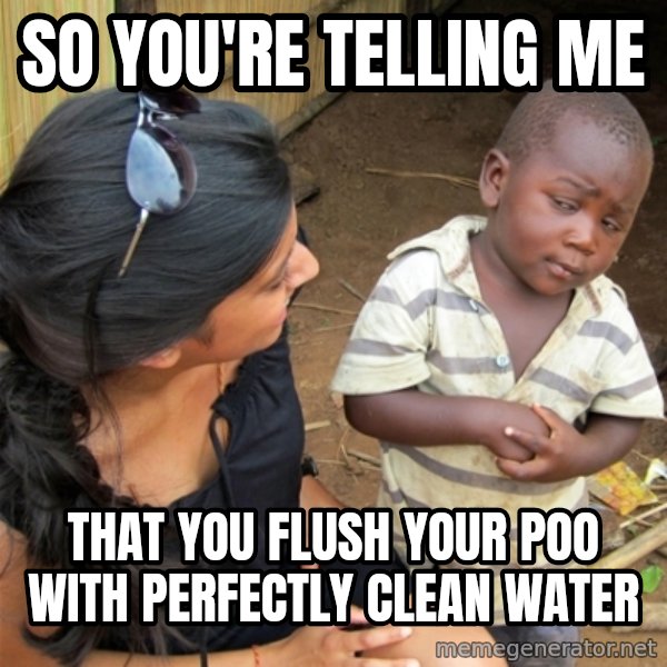 So You're Telling me meme: so you're telling me / that  you flush your poo with perfectly clean water