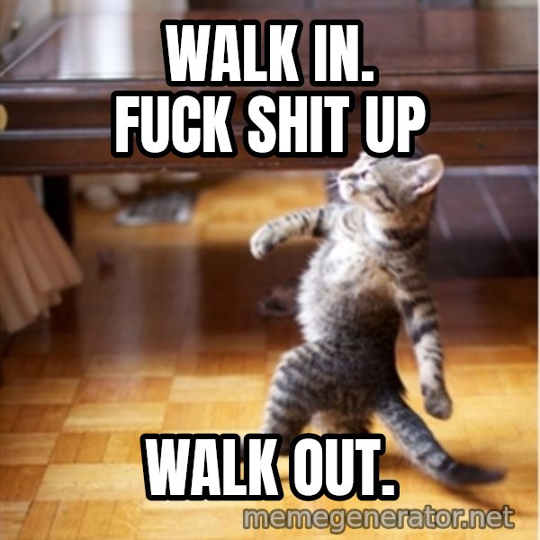 walking cat meme: walk in. Fuck shit up / walk out.