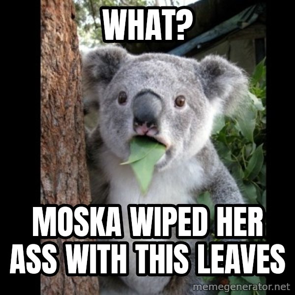 Koala can't believe it meme: what? / moska wiped her ass with this leaves