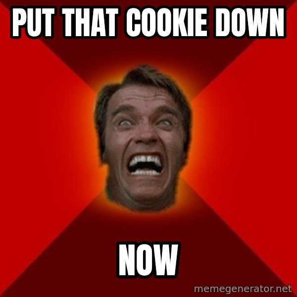 Angry Arnold meme: Put that cookie down / now