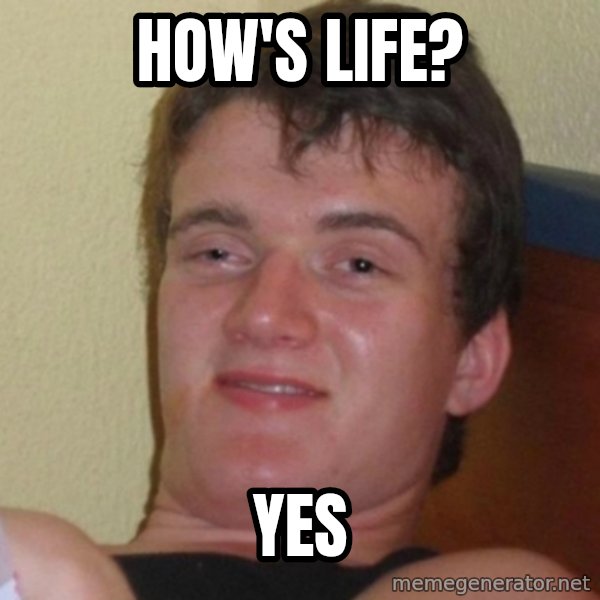 Really Stoned Guy meme: How's life? / yes