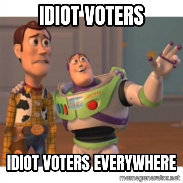 Toy story meme: idiot voters / idiot voters everywhere