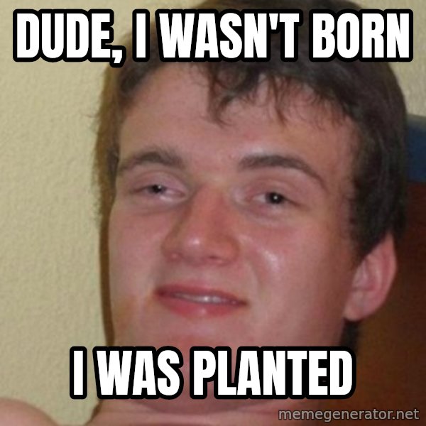 Really Stoned Guy meme: Dude, i wasn't born / i was planted