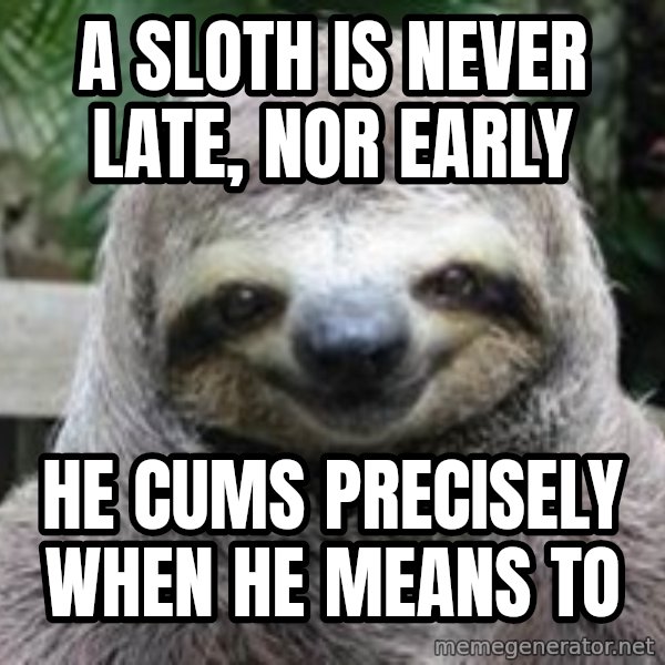 Sexual Sloth meme: A sloth is never late, nor early / he cums precisely when he means to