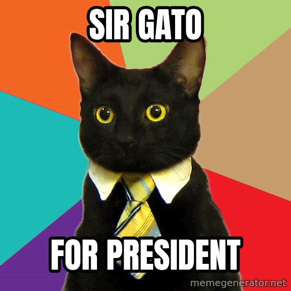 Business Cat meme: SIR GATO / FOR PRESIDENT