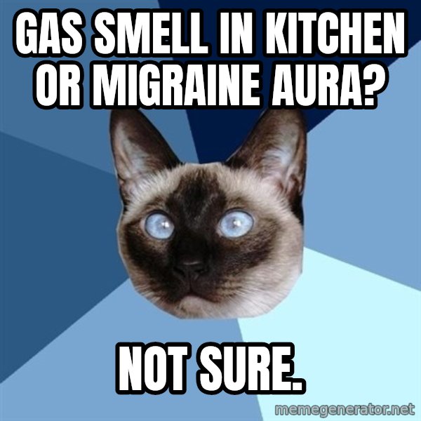 Chronic Illness Cat meme: gas smell in kitchen or  migraine aura? / not sure.