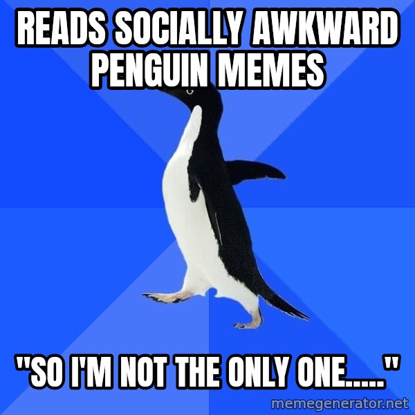 Socially Awkward Penguin meme: reads socially awkward penguin memes / "so I'm not the only one....."