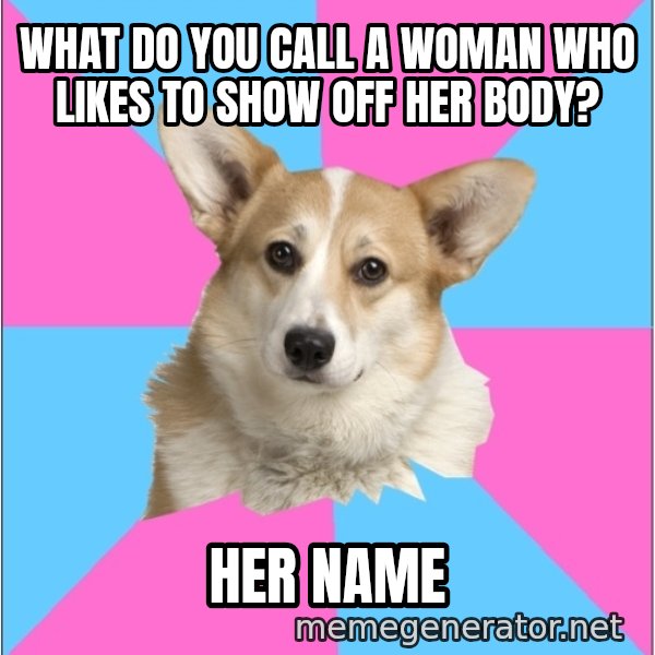 Critical Feminist Corgi meme: WHAT do you call a woman who likes to show off her body? / Her name