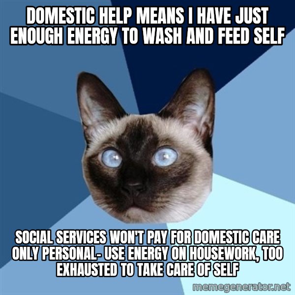 Chronic Illness Cat meme: domestic help means I have just enough energy to wash and feed self / SOCIAL SERVICES WON'T PAY FOR DOMESTIC CARE ONLY PERSONAL- USE ENERGY ON HOUSEWORK, TOO EXHAUSTED TO TAKE CARE OF SELF