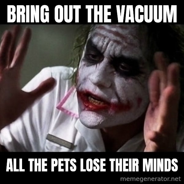 joker mind loss meme: Bring out the vacuum / all the pets lose their minds