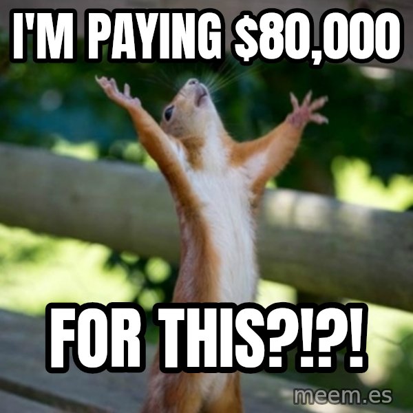 Praising Squirrel meme: I'm paying $80,000 / For THIS?!?!
