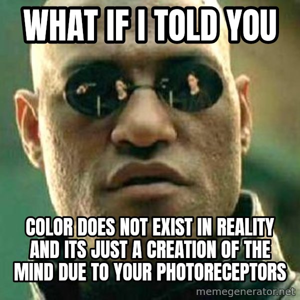 What if I told you / Matrix Morpheus meme: What if I told you / Color does nOt exist in Reality and its just A creation of the mind due to your photoreceptors