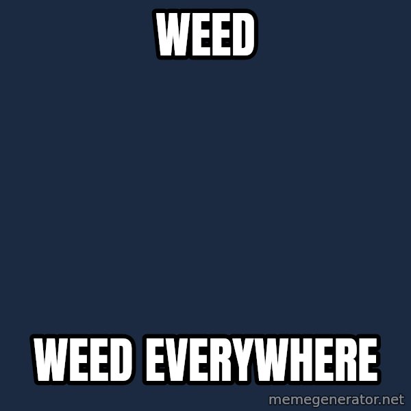 X, X Everywhere  meme: weed / weed everywhere