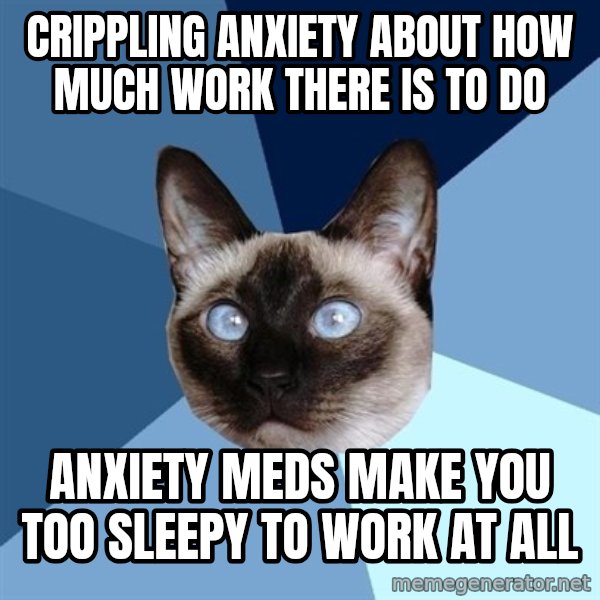 Chronic Illness Cat meme: crippling anxiety about how much work there is to do / anxiety meds make you too sleepy to work at all