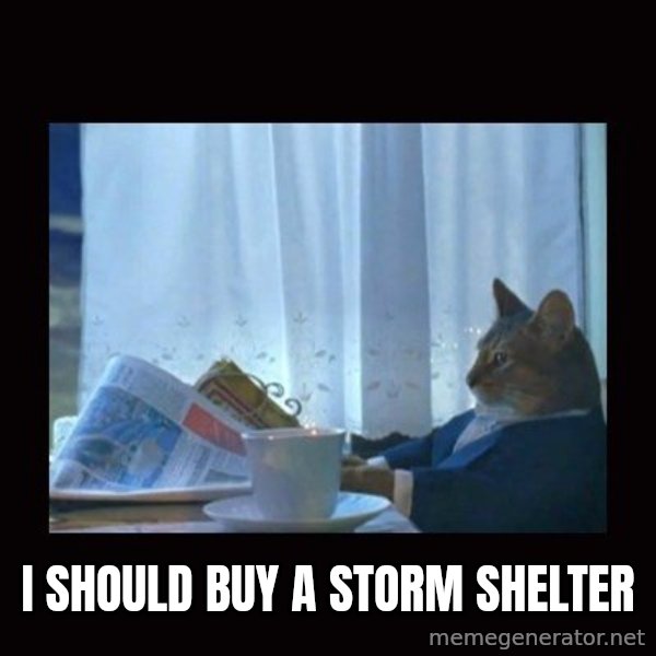 i should buy a boat cat meme: I SHOULD BUY A STORM SHELTER