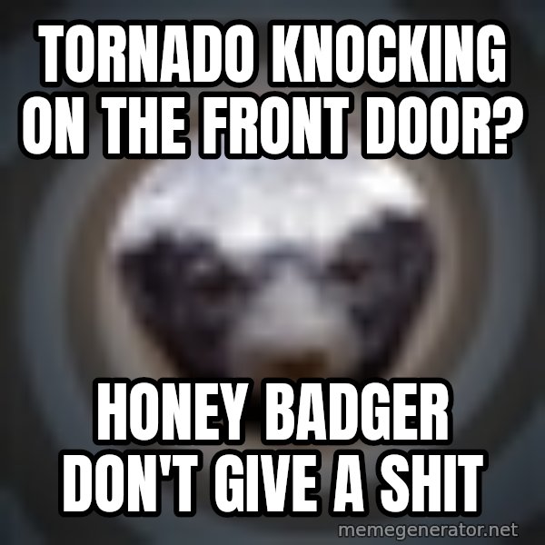 Fearless Honeybadger meme: Tornado knocking on the front door? / honey badger don't give a shit