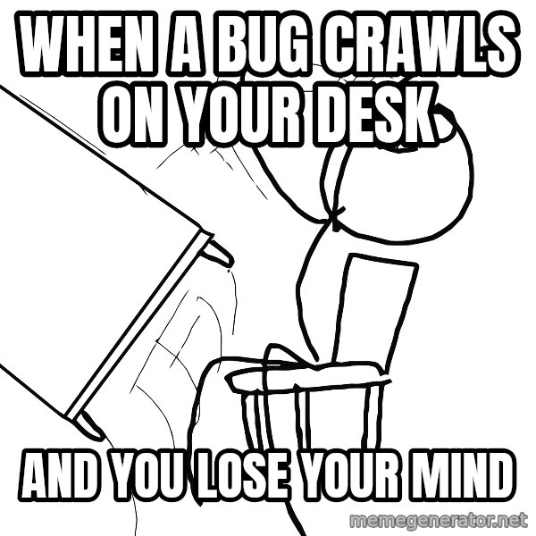 Desk Flip Rage Guy meme: when a bug crawls on your desk / and you lose your mind