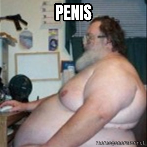 Fat guy at computer meme: PENIS