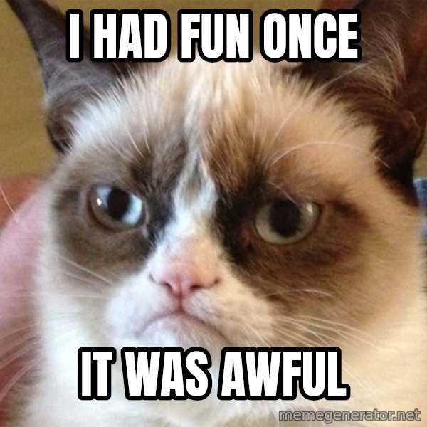 Angry Cat Meme meme: I HAD FUN ONCE / IT WAS AWFUL