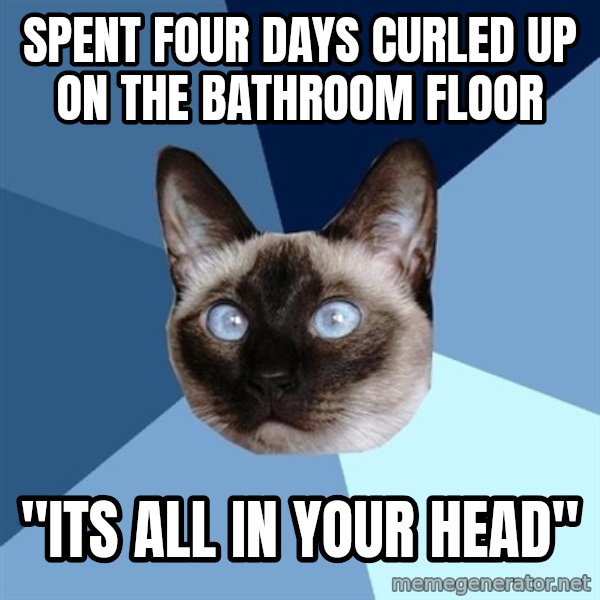 Chronic Illness Cat meme: Spent four days curled up on the bathroom floor / "ITs all in your head"