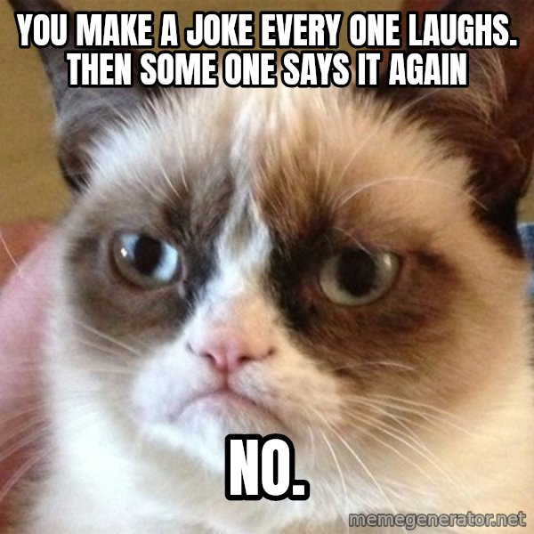 Angry Cat Meme meme: YOU MAKE A JOKE EVERY ONE LAUGHS. THEN SOME ONE SAYS IT AGAIN / NO.