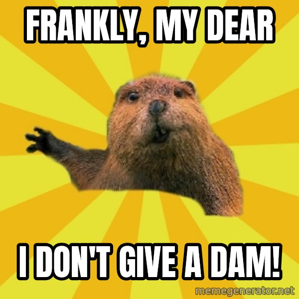 grumpy beaver meme: Frankly, my deaR / i DON'T GIVE A DAM!