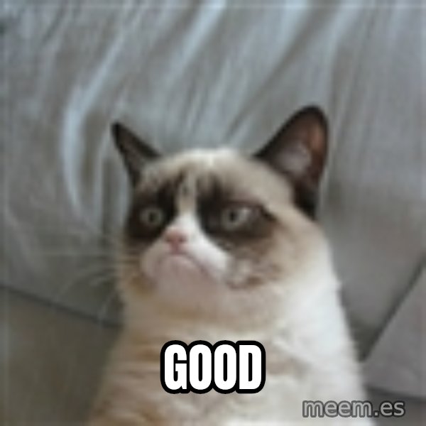 Grumpy Cat ={ meme: GOOD
