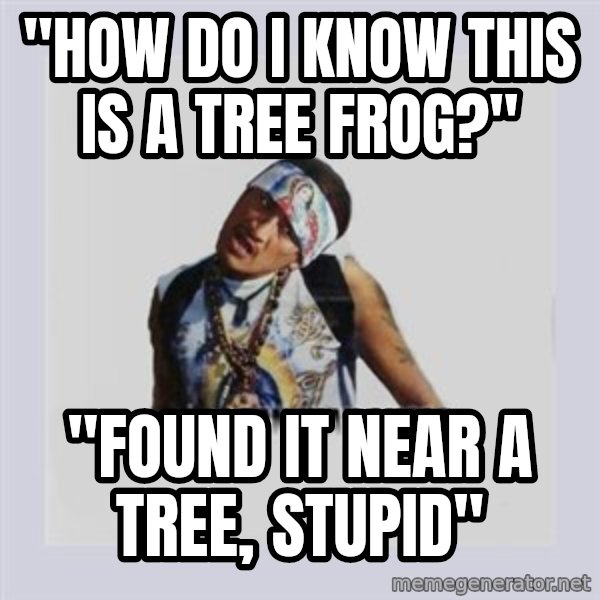 san juan cholo meme: "how do i know this is a tree frog?" / "found it near a tree, stupid"