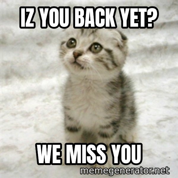 Can haz cat meme: IZ you back yet? / We miSs you