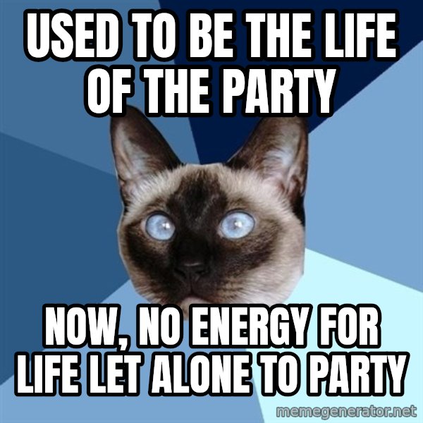 Chronic Illness Cat meme: used to be the life of the party / now, no energy for life let alone to party