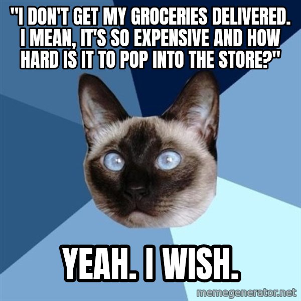 Chronic Illness Cat meme: "I don't get my groceries delivered. I mean, it's so expensive and how hard is it to pop into the store?" / Yeah. I wish.