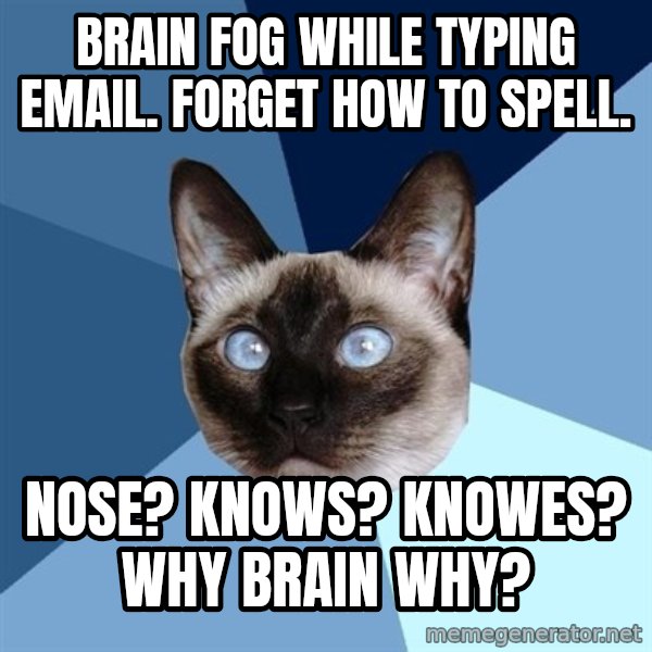 Chronic Illness Cat meme: Brain Fog while typing Email. Forget how to spell. / Nose? KNows? Knowes? Why brain why?