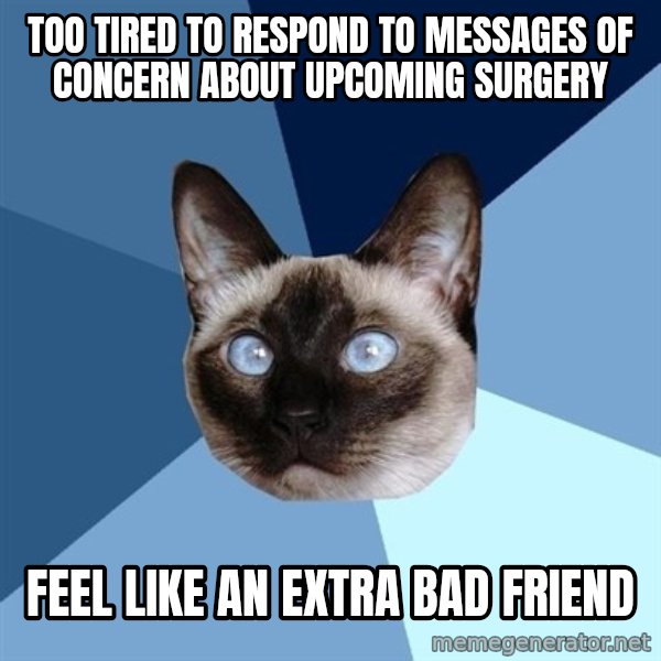 Chronic Illness Cat meme: Too tired to respond to messages of concern about upcoming surgery / feel like an extra bad friend